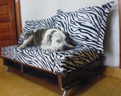Cama Regalon a 35.000.-