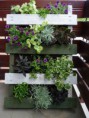 /album/fotogaleria-terraza/a10454-657812250911402-2128859969-n-jpg/